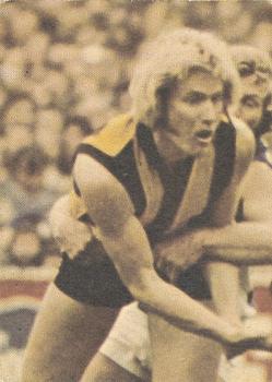 1976 Scanlens VFL #36 Mike Woolnough Back